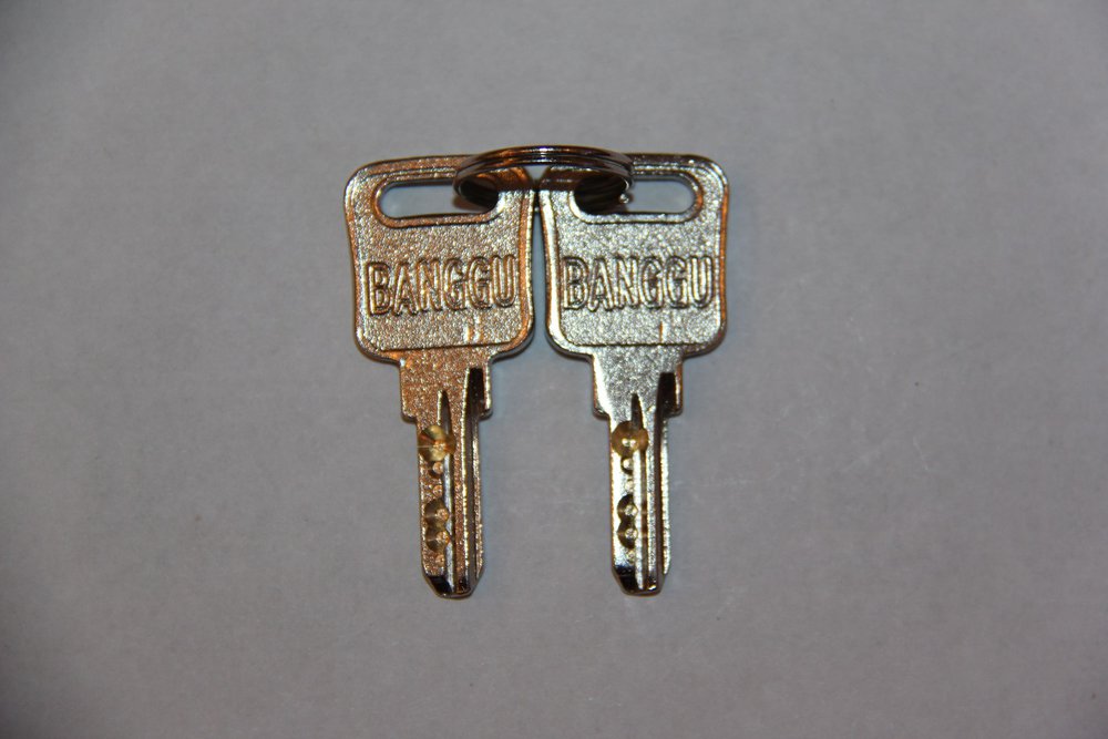 Замок почтовый BG 20х90 секретный прямой ригель металлический  ключ с перфорацией